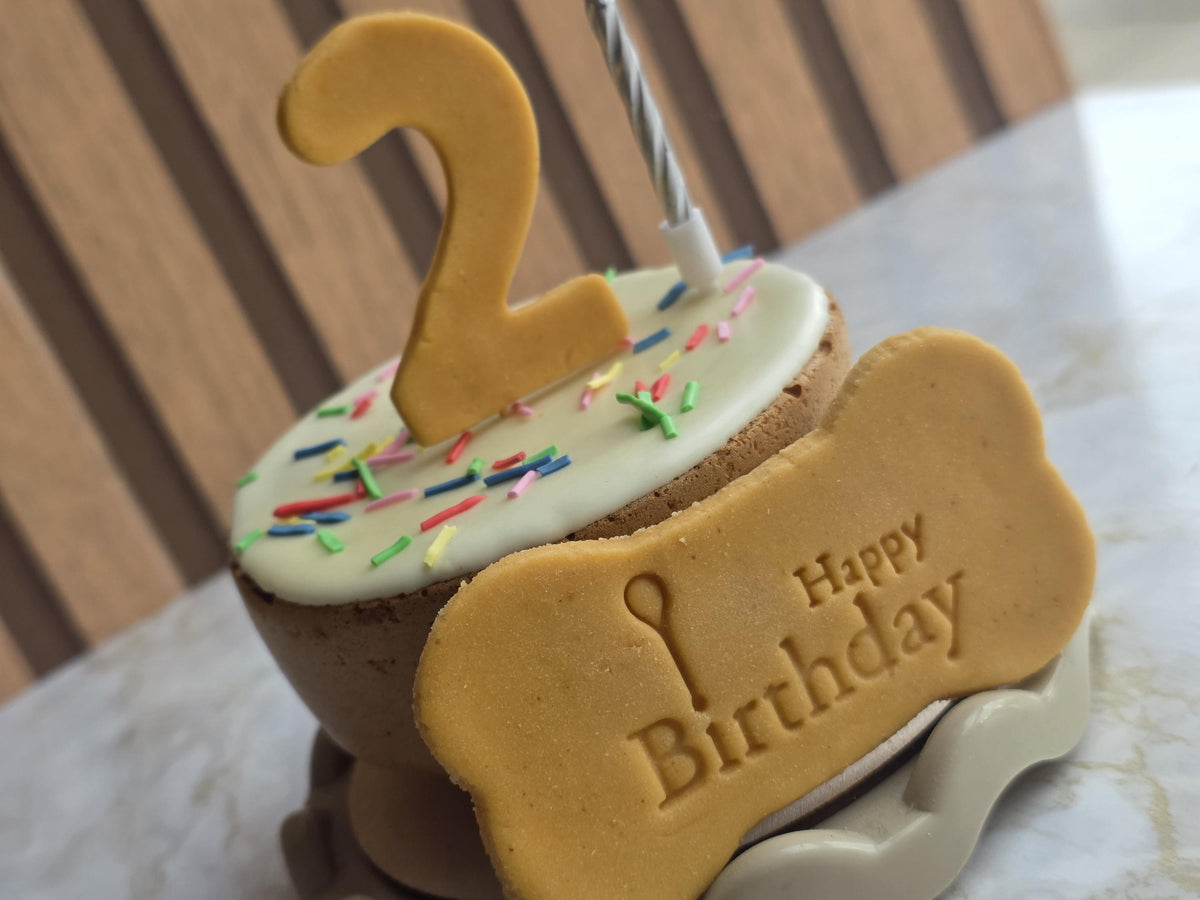 Dog Birthday Cake Treat Box with Add-On Biscuit Box - Woof&Crunch